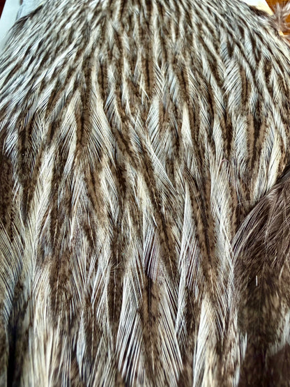 Whiting Farms Coq de Leon Retail Grade Hen Cape Silver Speckled 703-SH-E-L