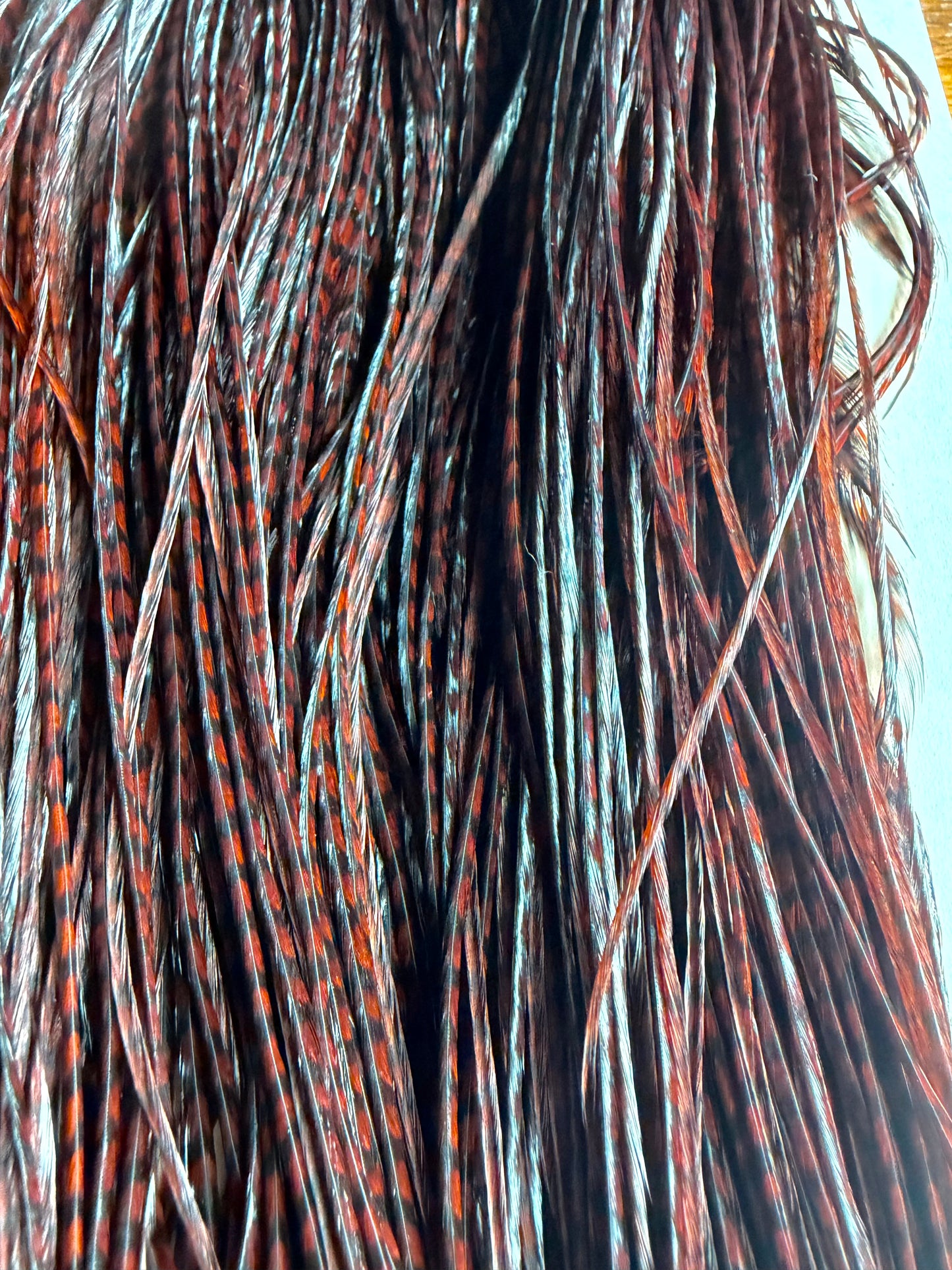 Hoffman Whiting Super Saddle Grade 2 Dyed Dark Brown Grizzly 623-SH-E-L