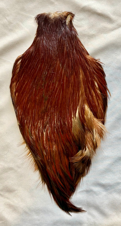 Wapsi Grade # 1 Cape, Natural Brown 481-SH-E-L