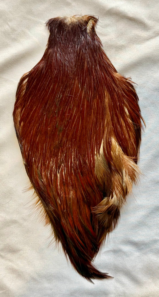 Wapsi Grade # 1 Cape, Natural Brown 481-SH-E-L
