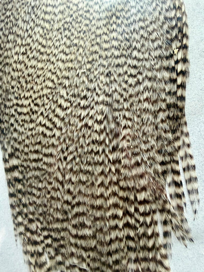 Keough Tyer’s Grade Cape, Grizzly 456-SH-E-L