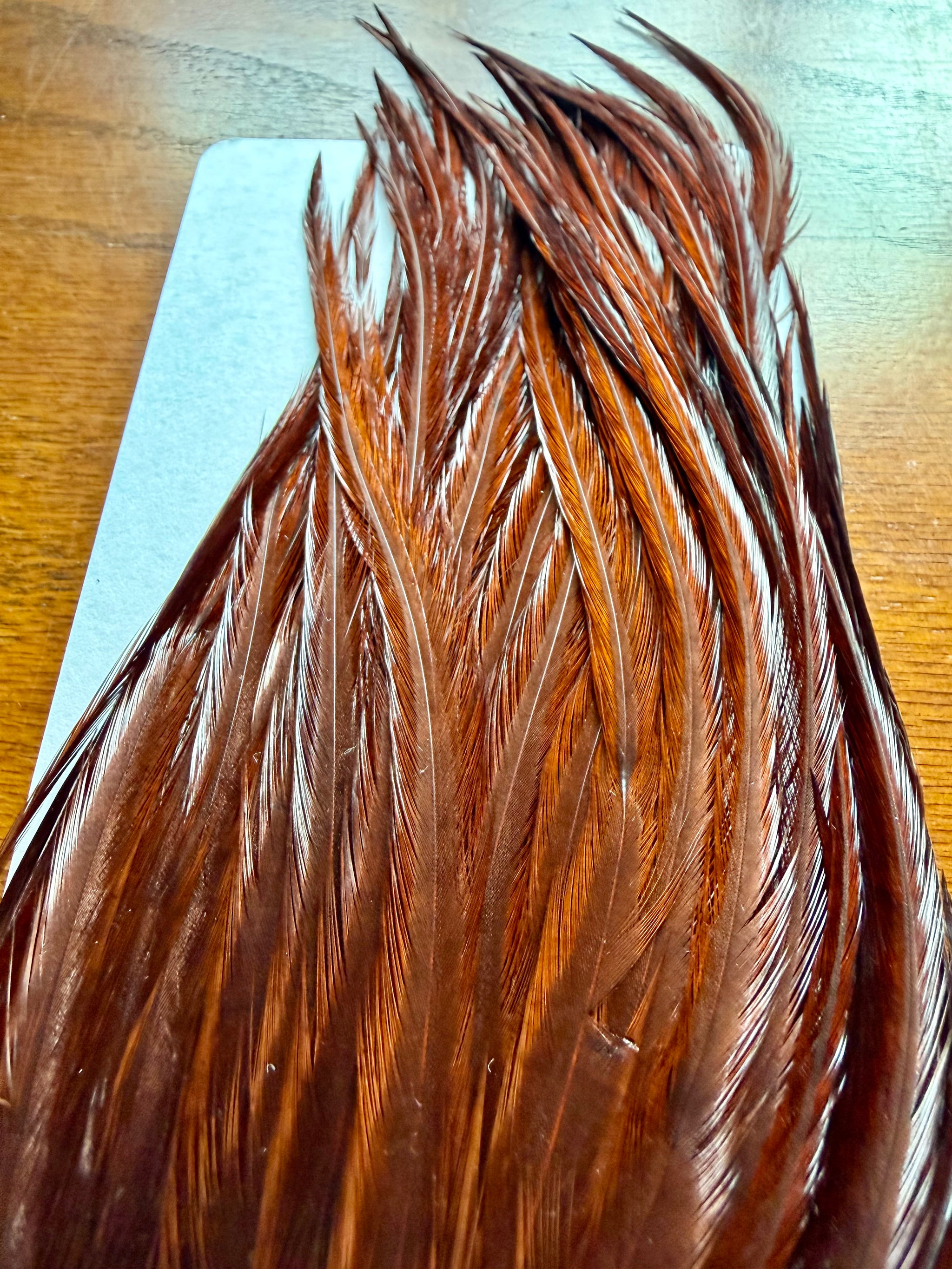 Whiting Farms Bugger Pack White Dyed Coachman Brown 318-SH-E-L