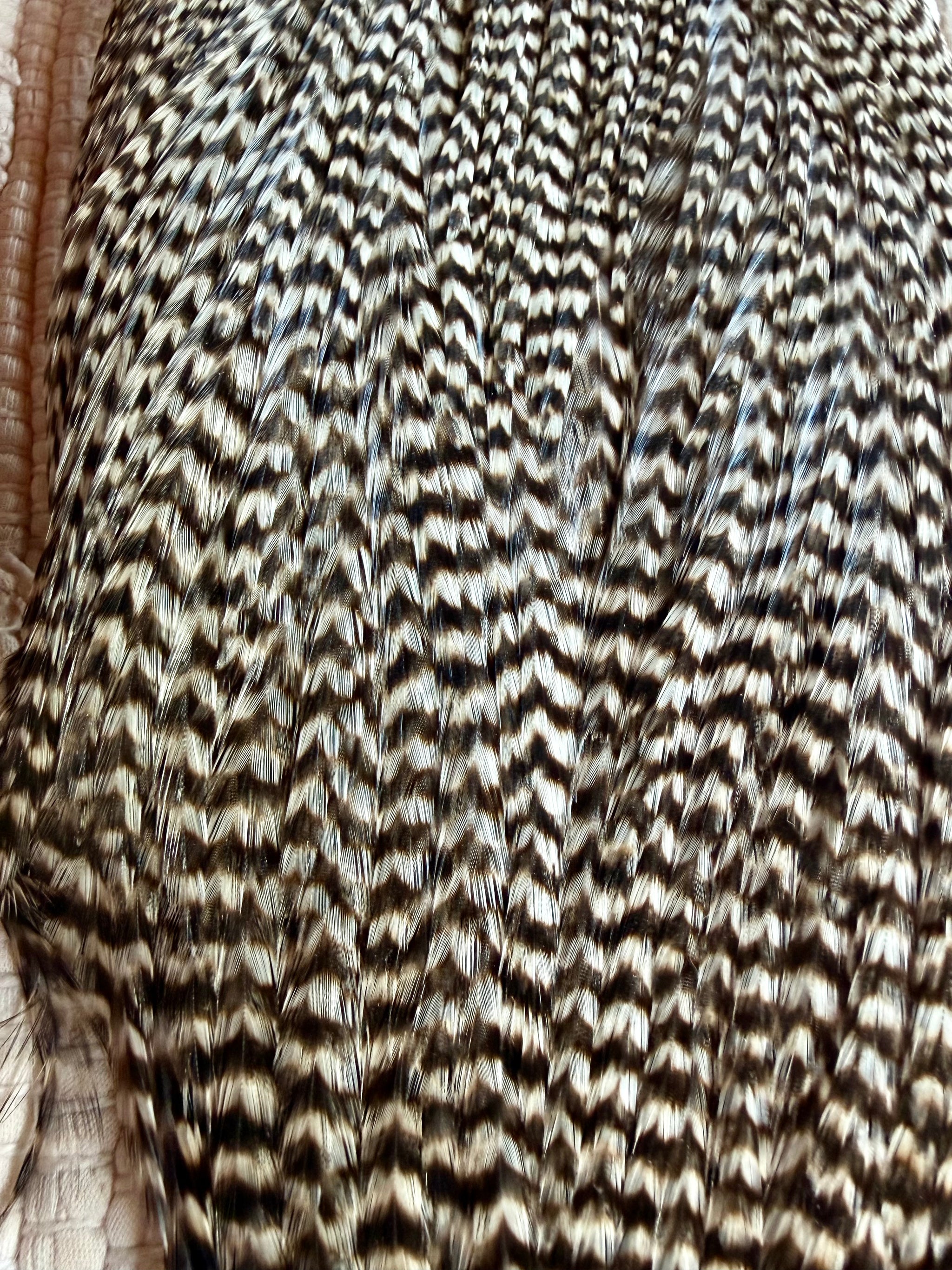 Whiting Cape Grizzly 839-SH-E-L