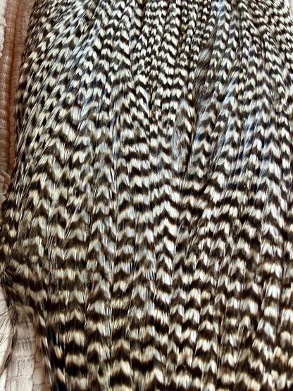 Whiting Cape Grizzly 839-SH-E-L