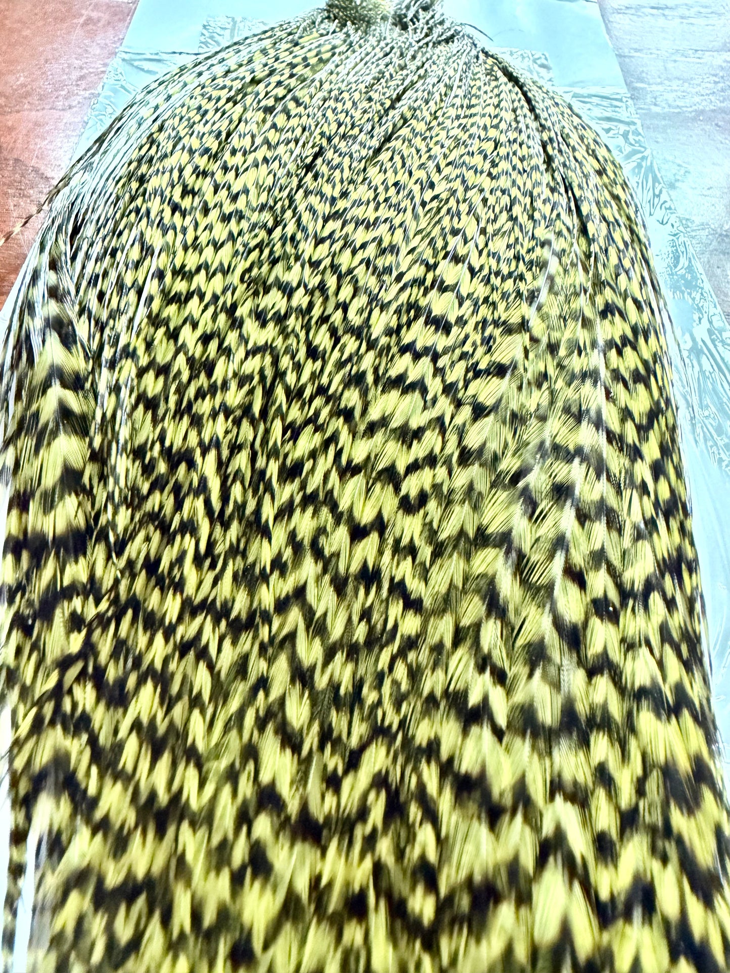 Whiting High and Dry Rooster Cape Grizzly Dyed Olive 336-SH-E-L