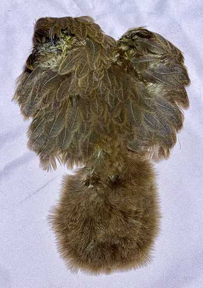 Whiting Farms Soft Hackle Brahma Hen Chickabou Pelt Mottled Gray dyed Dark Olive Speckled 211-SH-E-L