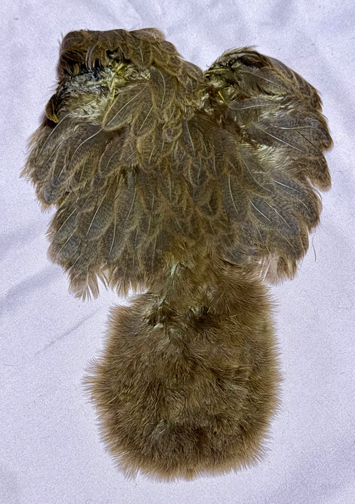 Whiting Farms Soft Hackle Brahma Hen Chickabou Pelt Mottled Gray dyed Dark Olive Speckled 211-SH-E-L