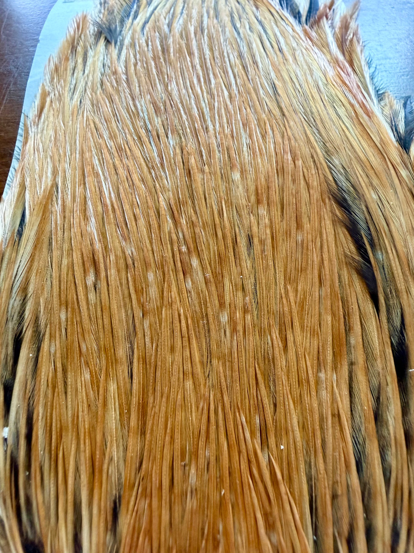 Metz Grade #2 Cape Light Ginger 536-SH-E-L