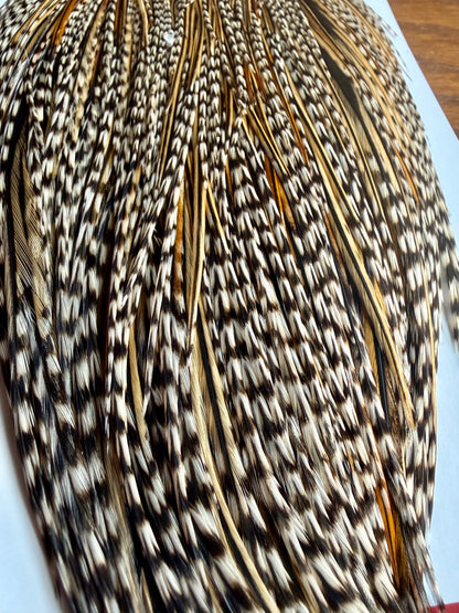 Whiting Farms Pro Grade Cape Grizzly Variant 583-SH-E-L