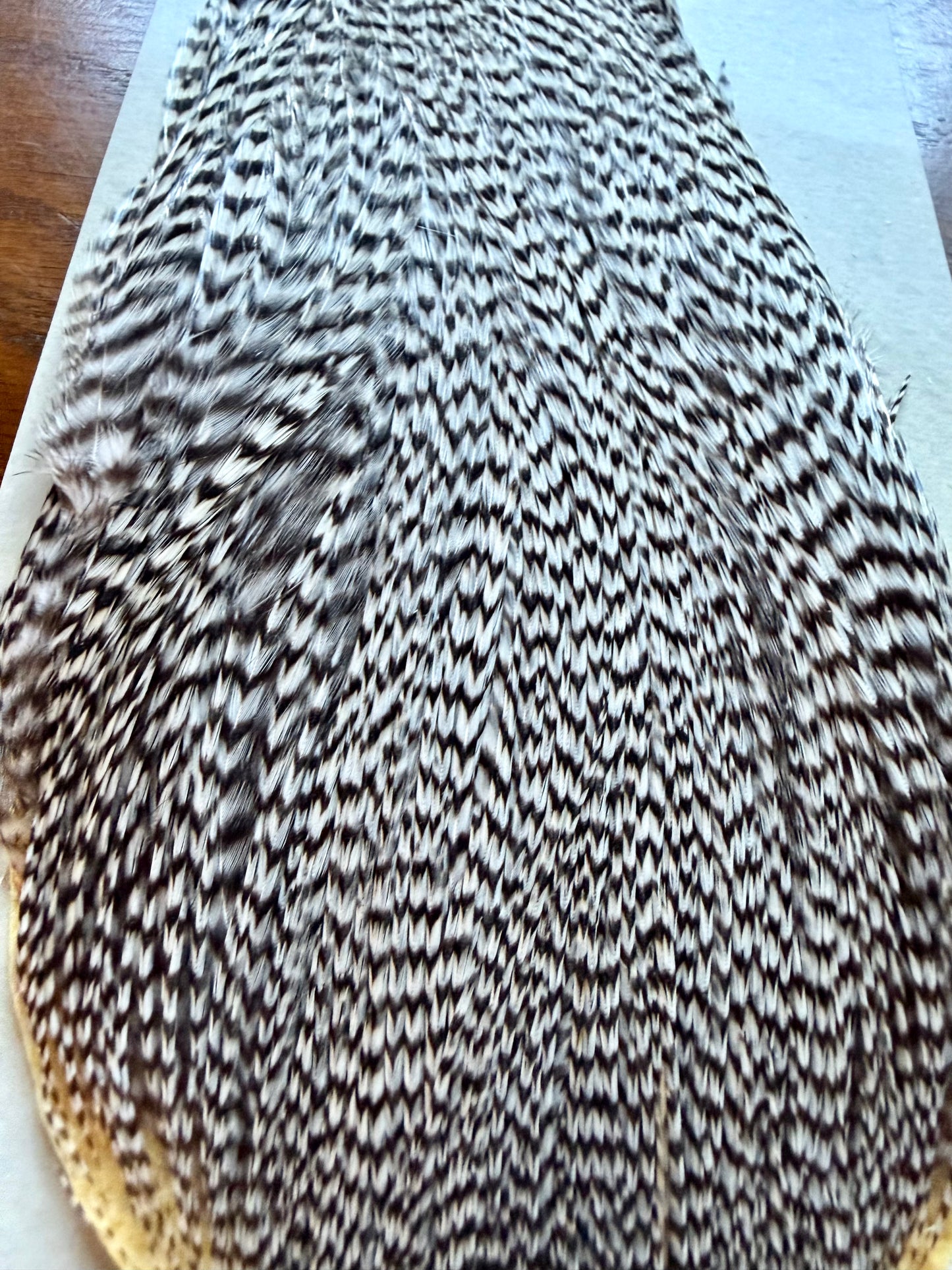 Metz Grade #3 Cape Grizzly 521-SH-E-L