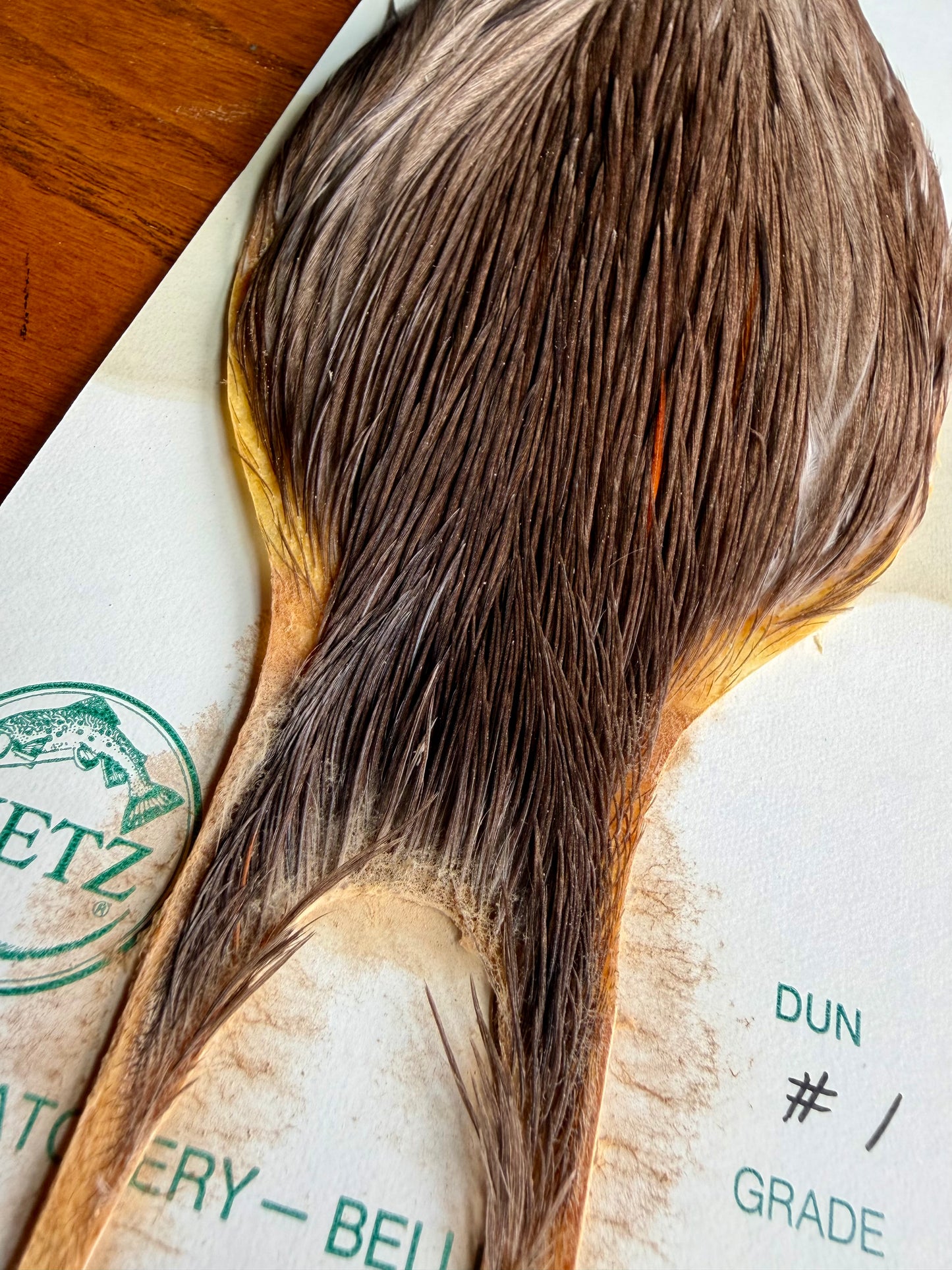 Metz Grade #1 Cape Dun 611-SH-E-L