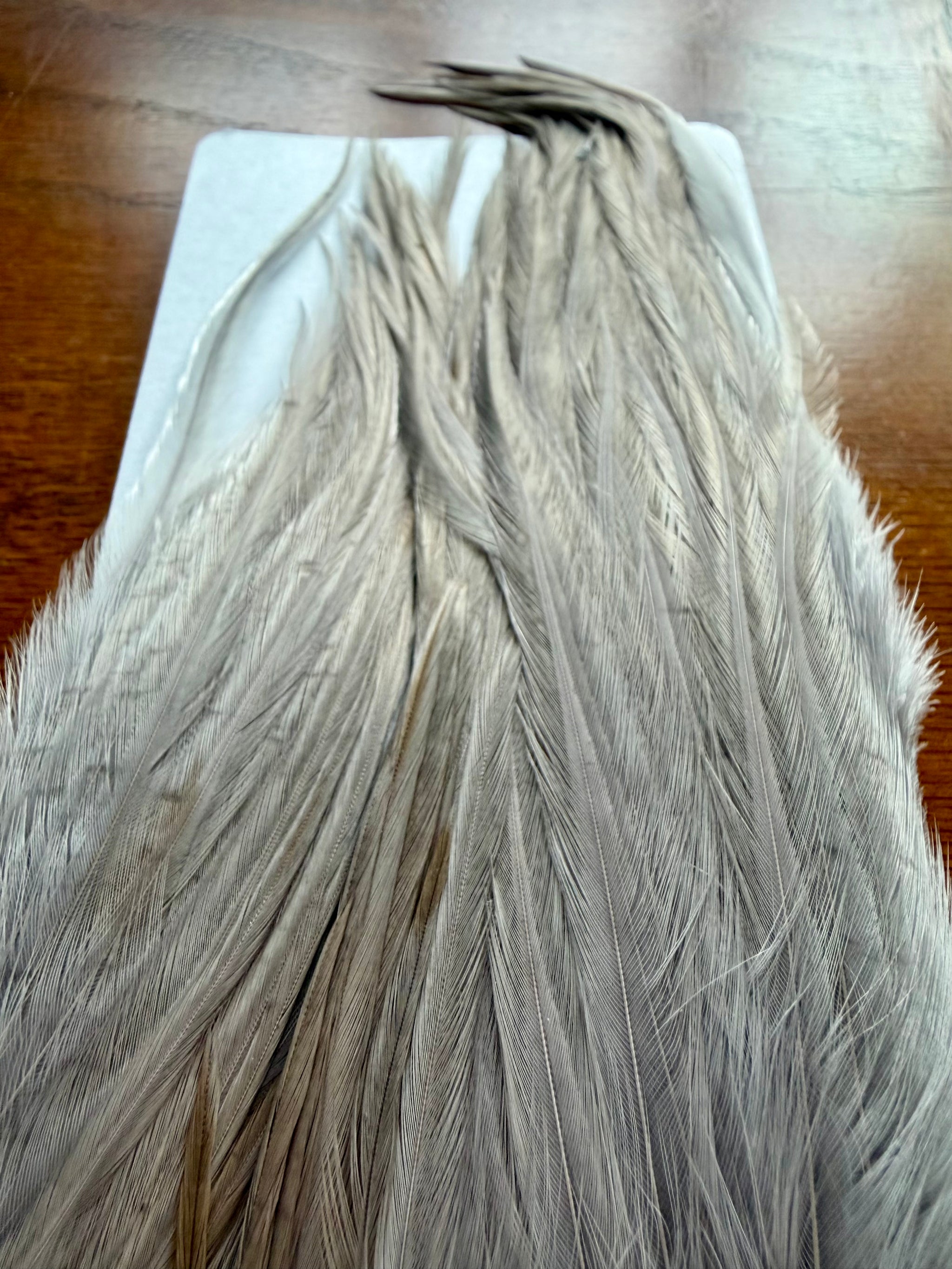 Whiting Farms Bugger Pack White Dyed Medium Dun 314-SH-E-L