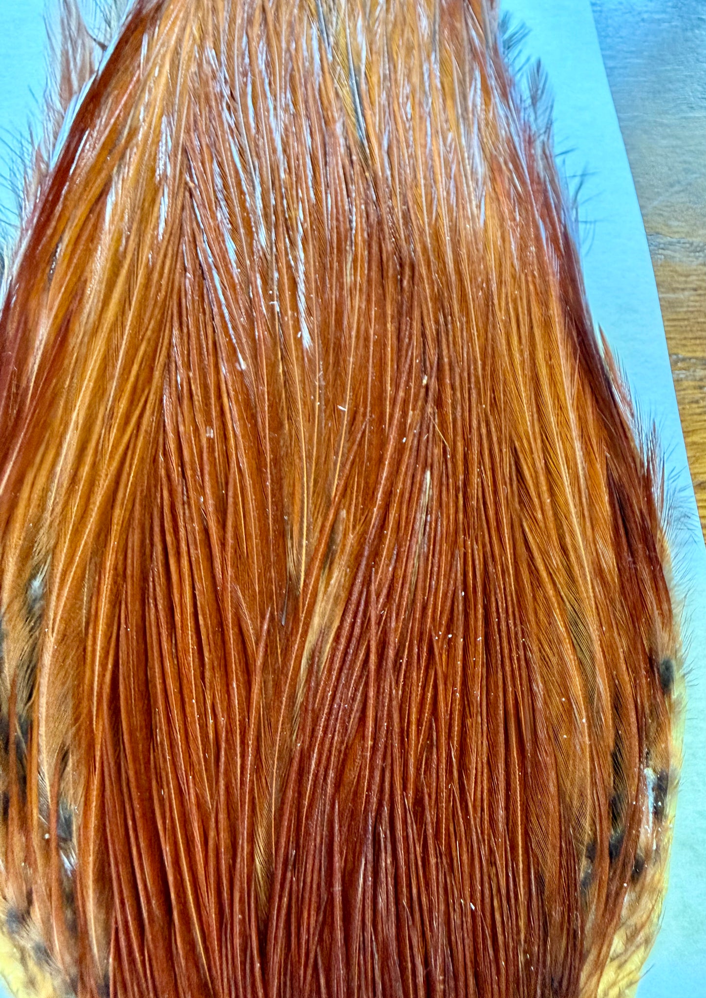 Metz Grade # 2 Cape Brown 508-SH-E-L