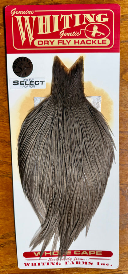 Whiting Farms Silver Grade Select Portion Cape Dark Dyed Dun 778-SH-E-L
