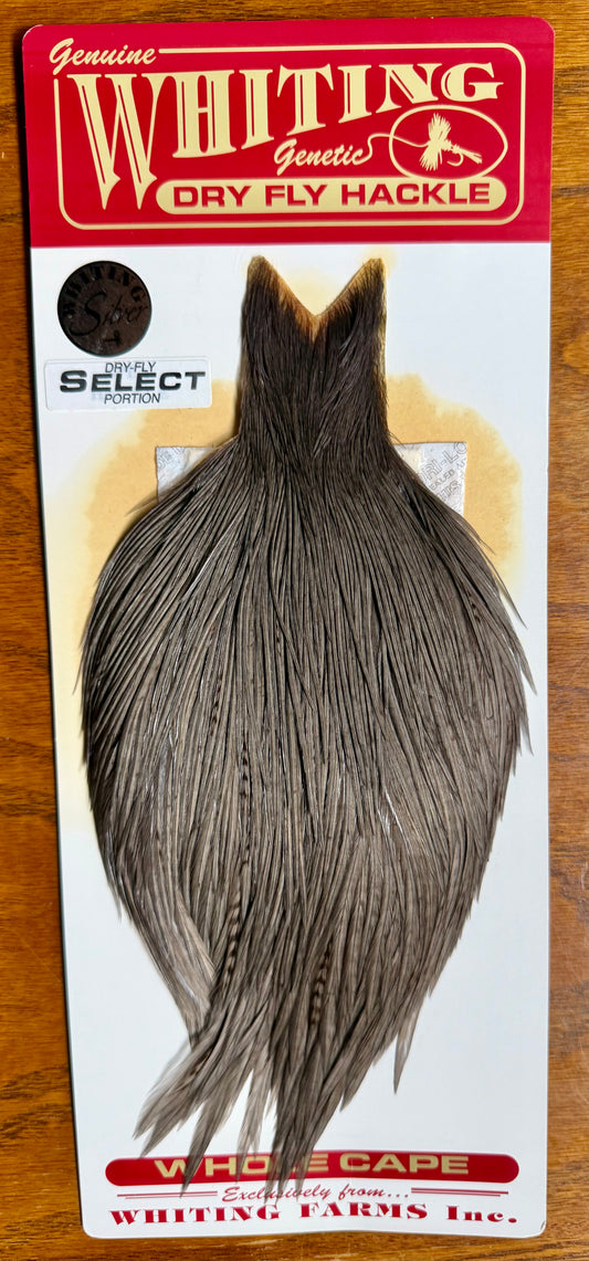 Whiting Farms Silver Grade Select Portion Cape Dark Dyed Dun 778-SH-E-L