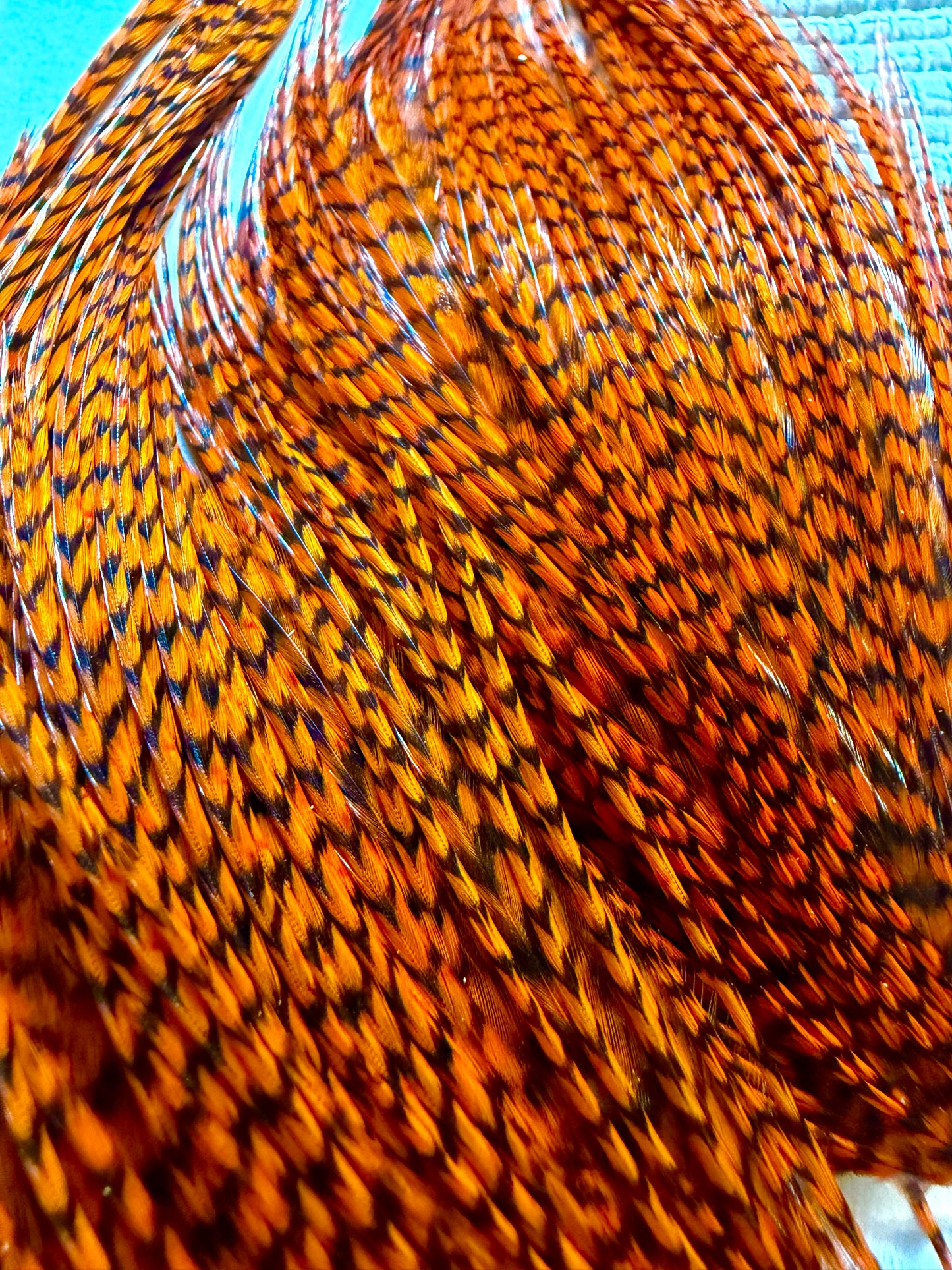 Whiting Farms Bugger Pack Grizzly Dyed Burnt Orange715-SH-E-L