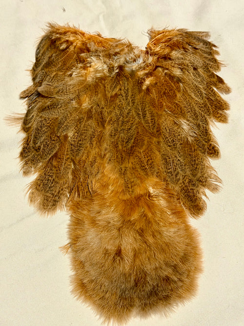 Whiting Farms Soft Hackle Brahma Hen Chickabou Pelt Mottled Gray dyed Golden Brown Speckled 212-SH-E-L