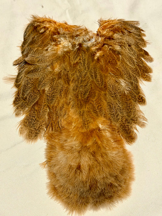 Whiting Farms Soft Hackle Brahma Hen Chickabou Pelt Mottled Gray dyed Golden Brown Speckled 212-SH-E-L