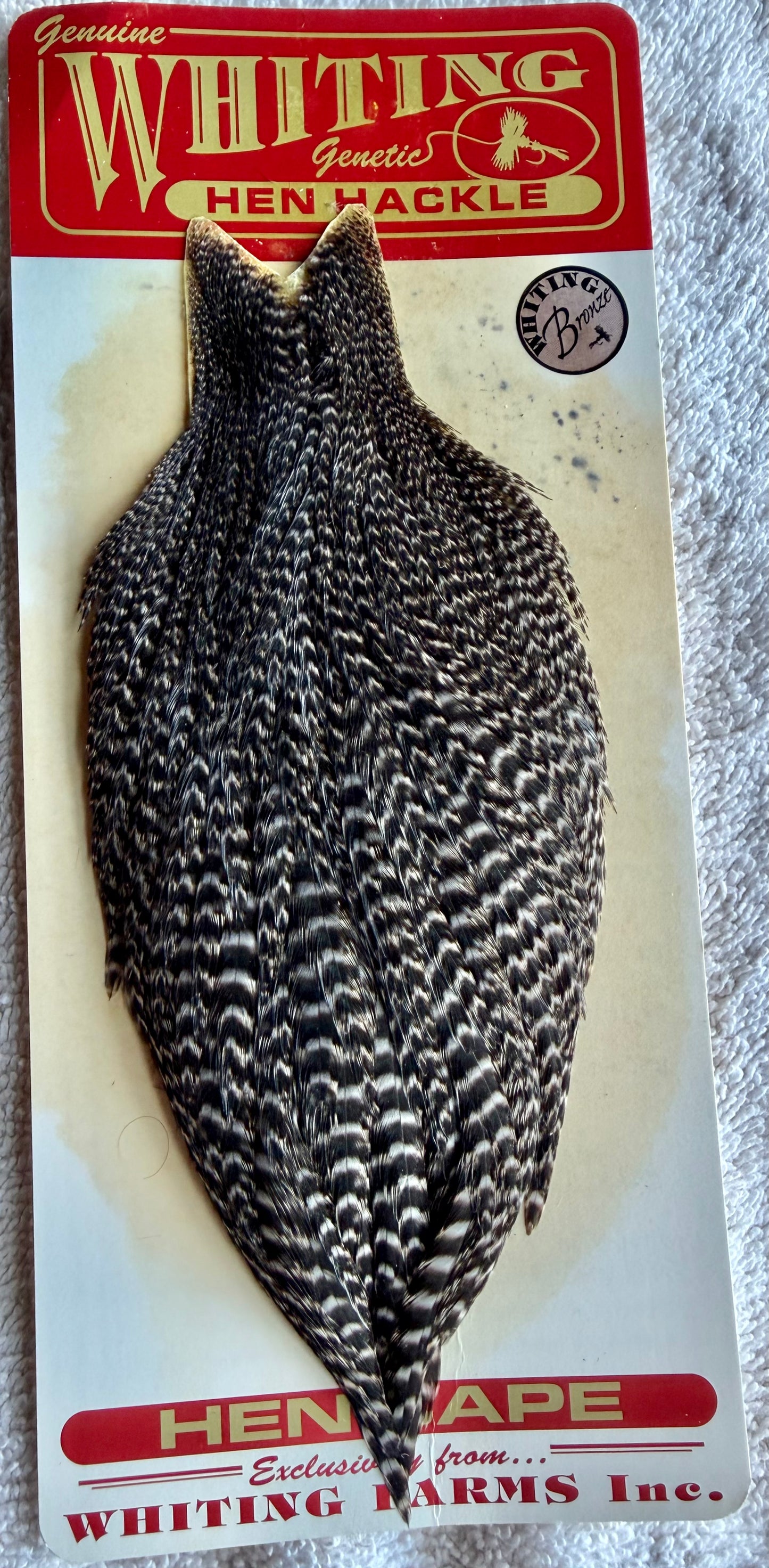 Whiting Farm Bronze Hen Cape Grizzly 736-SH-E-L