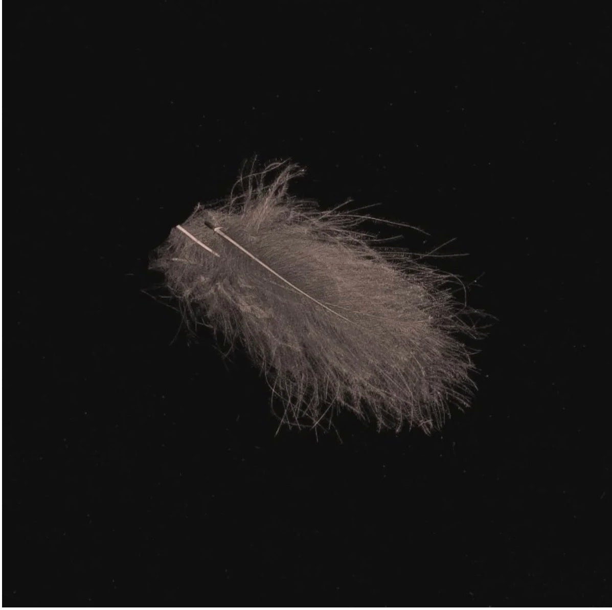 Hends CDC- 1g Bags