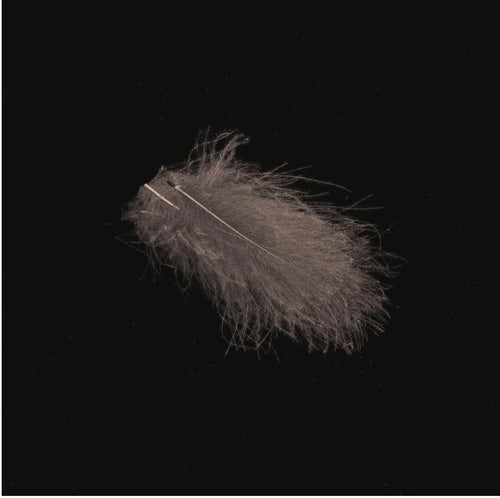 Hends CDC- 1g Bags