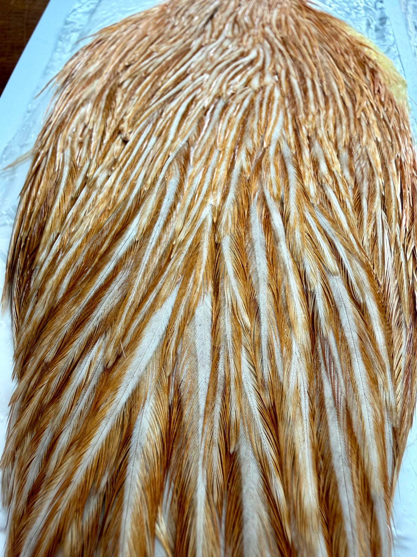 Whiting Farms Hen Cape Medium Ginger 305-SH-E-L