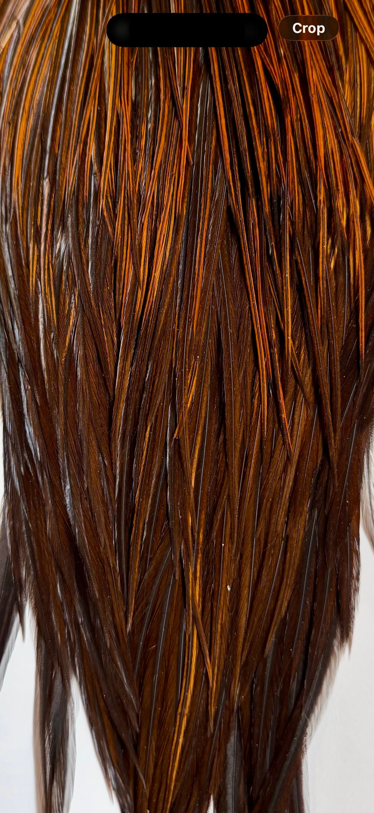 Whiting Farms Bronze Grade Cape Honey Dun 785-SH-E-L