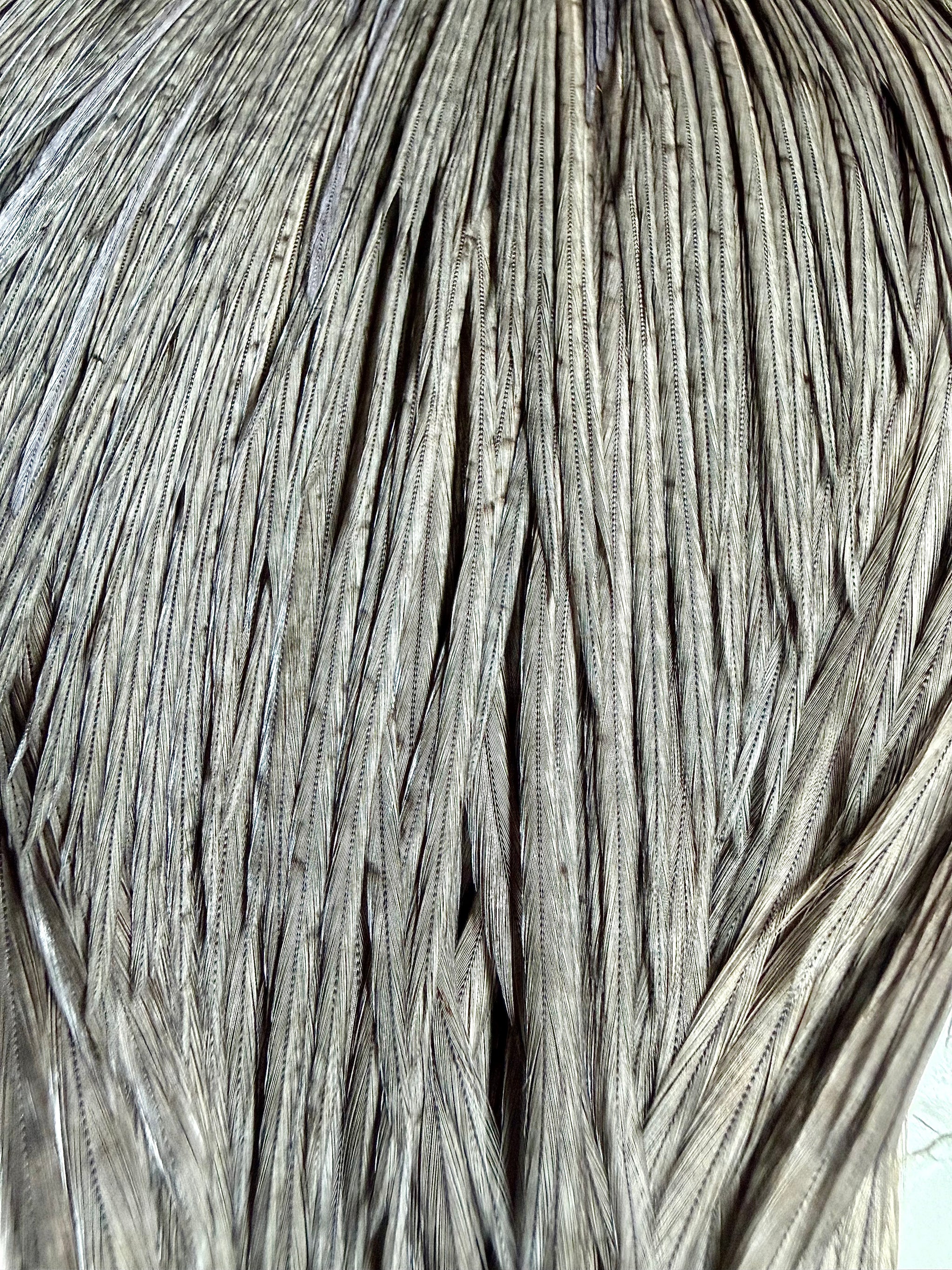 Whiting Farms Silver Grade Select Portion Cape Dark Dyed Dun 777-SH-E-L
