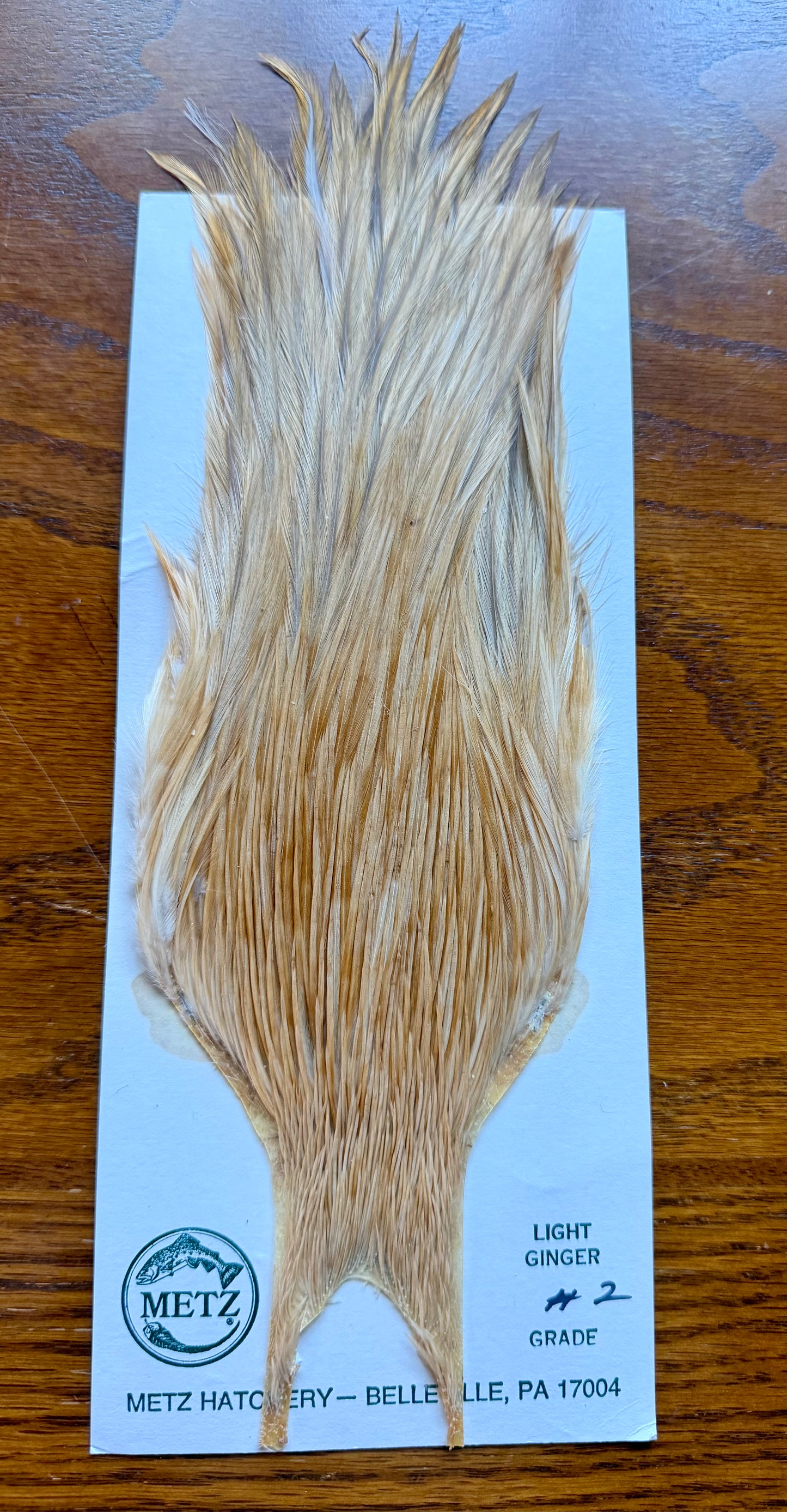 Metz Grade #2 Cape Light Ginger 519-SH-E-L