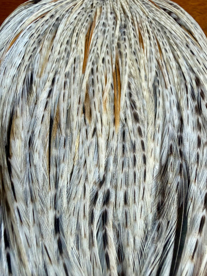 Metz Cape Barred Sandy Dun 701-SH-E-L