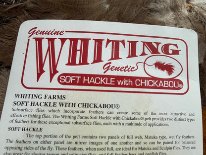 Whiting Brahma Hen Soft Hackle/Chickabou: Mottled White dyed Dark Brown 375-SH-E-L