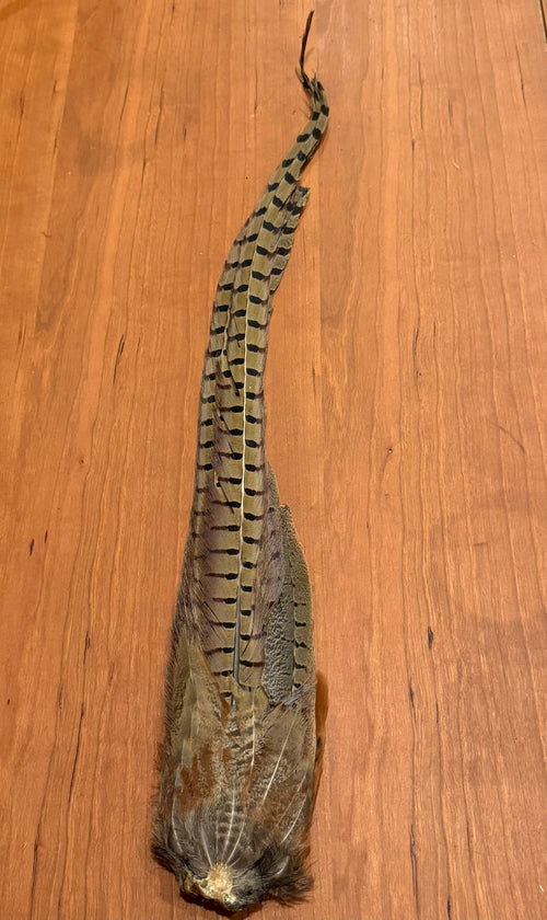 Spent Fly Fishing Pheasant Tail Clump