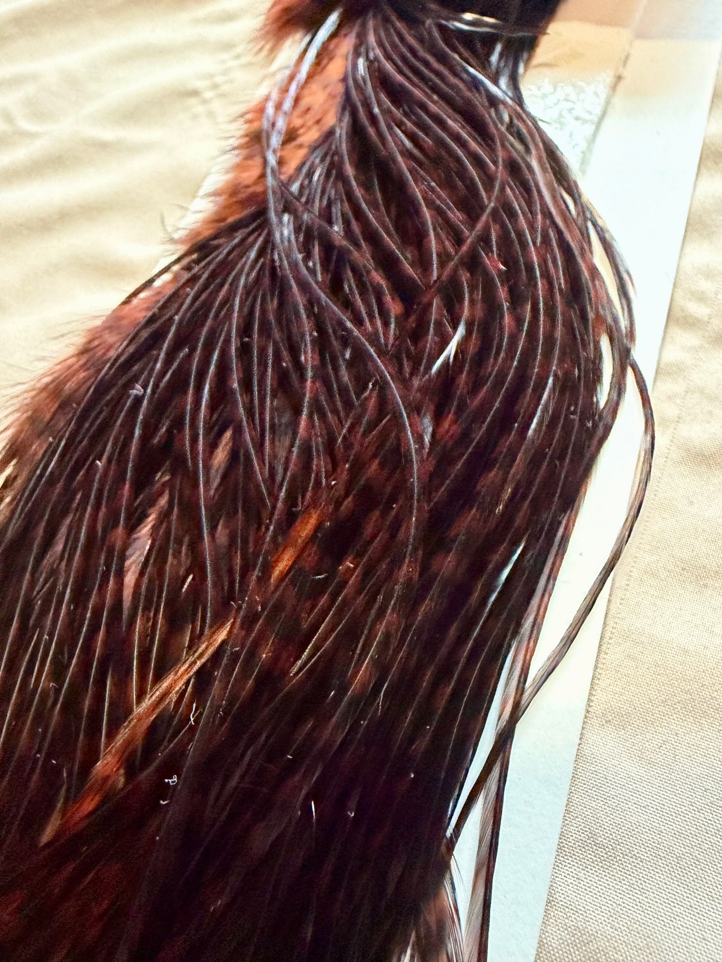 Whiting Farms Bronze Half Saddle Grizzly Dyed Coachman Brown 300-SH-E-L