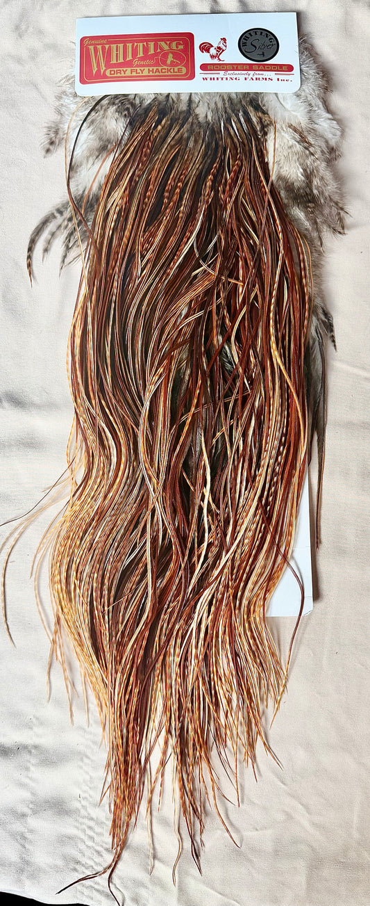 Whiting Silver-Grade Midge Rooster Saddle Barred Dark Ginger 198-SH-E-L