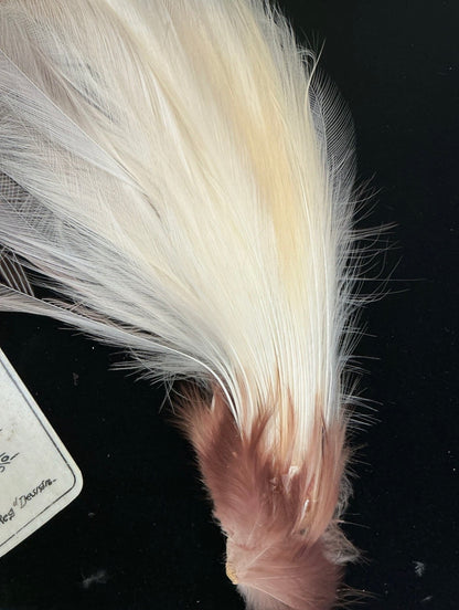 BIRD OF PARADISE TAIL FEATHERS-RARE (US ONLY)