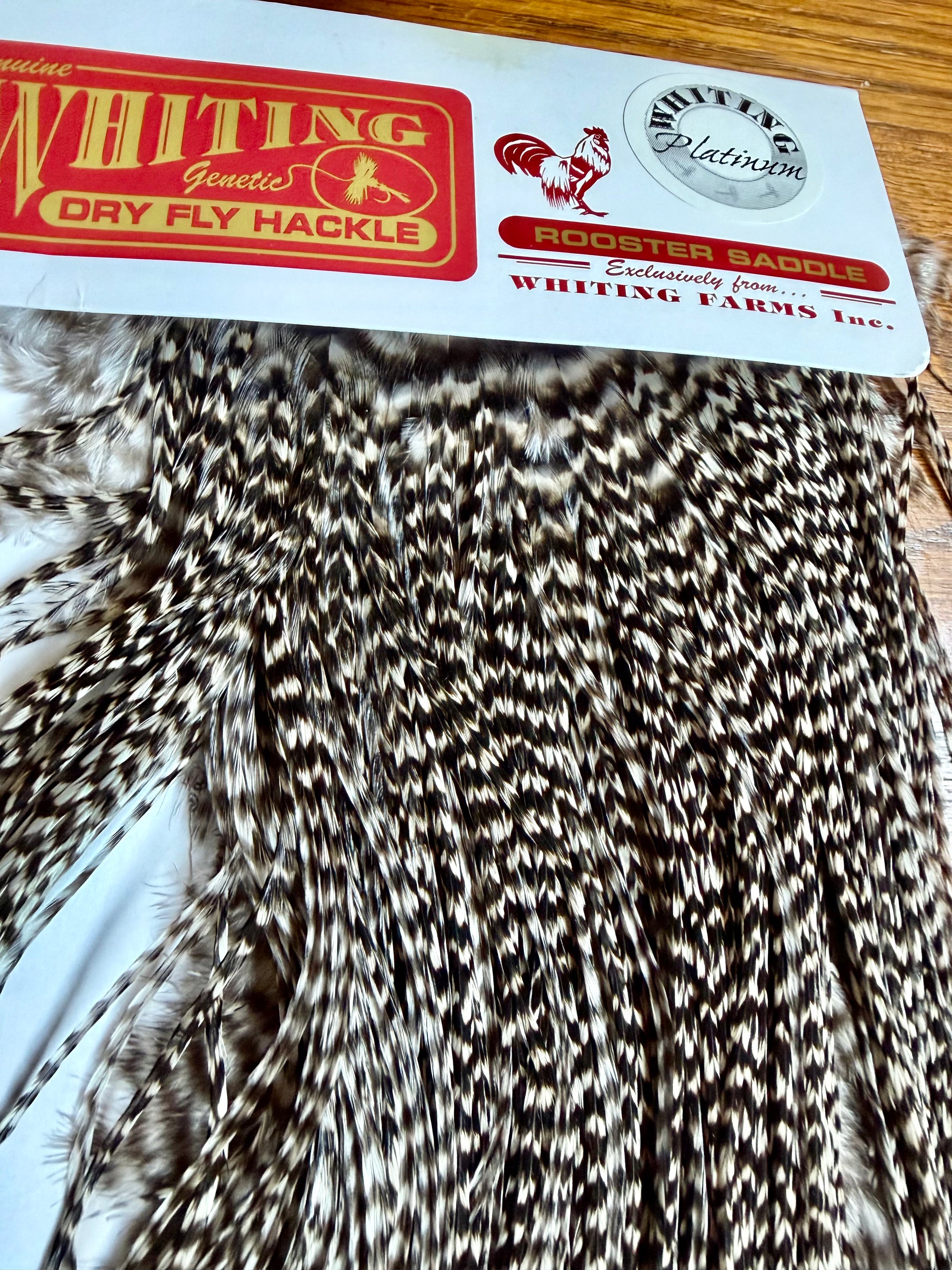 Whiting Farms Hackle PLATINUM Rooster Saddle Grizzly 792-SH-E-L