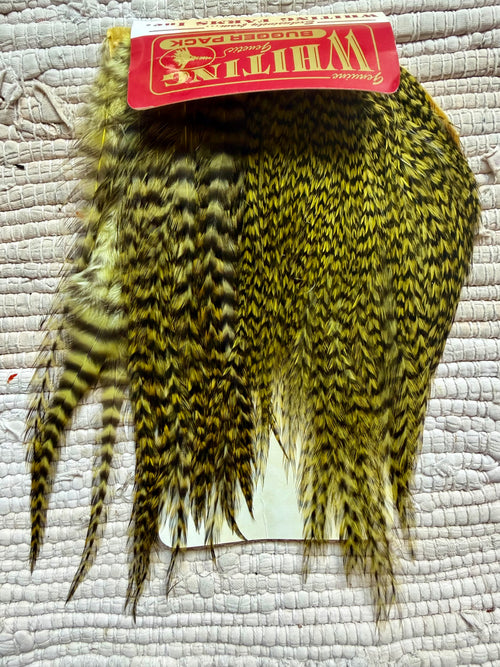 Whiting Bugger Pack Grizzly Dyed Olive 729-SH-E-L