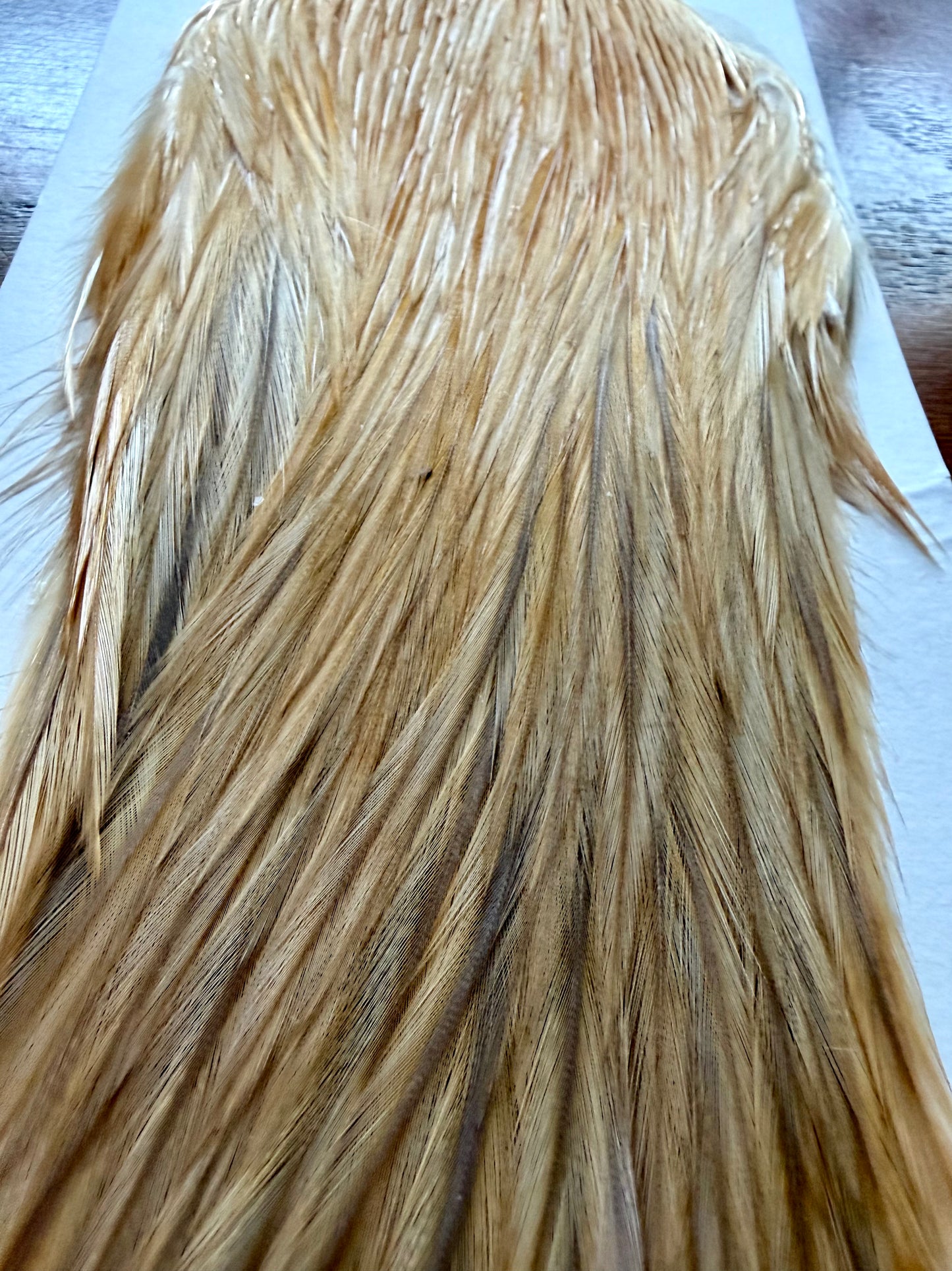 Metz Grade #2 Cape Light Ginger 519-SH-E-L