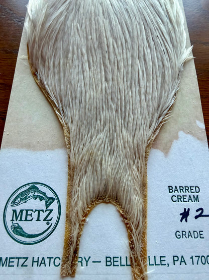 Metz Cape Grade #2 Barred Cream 426-SH-E-L