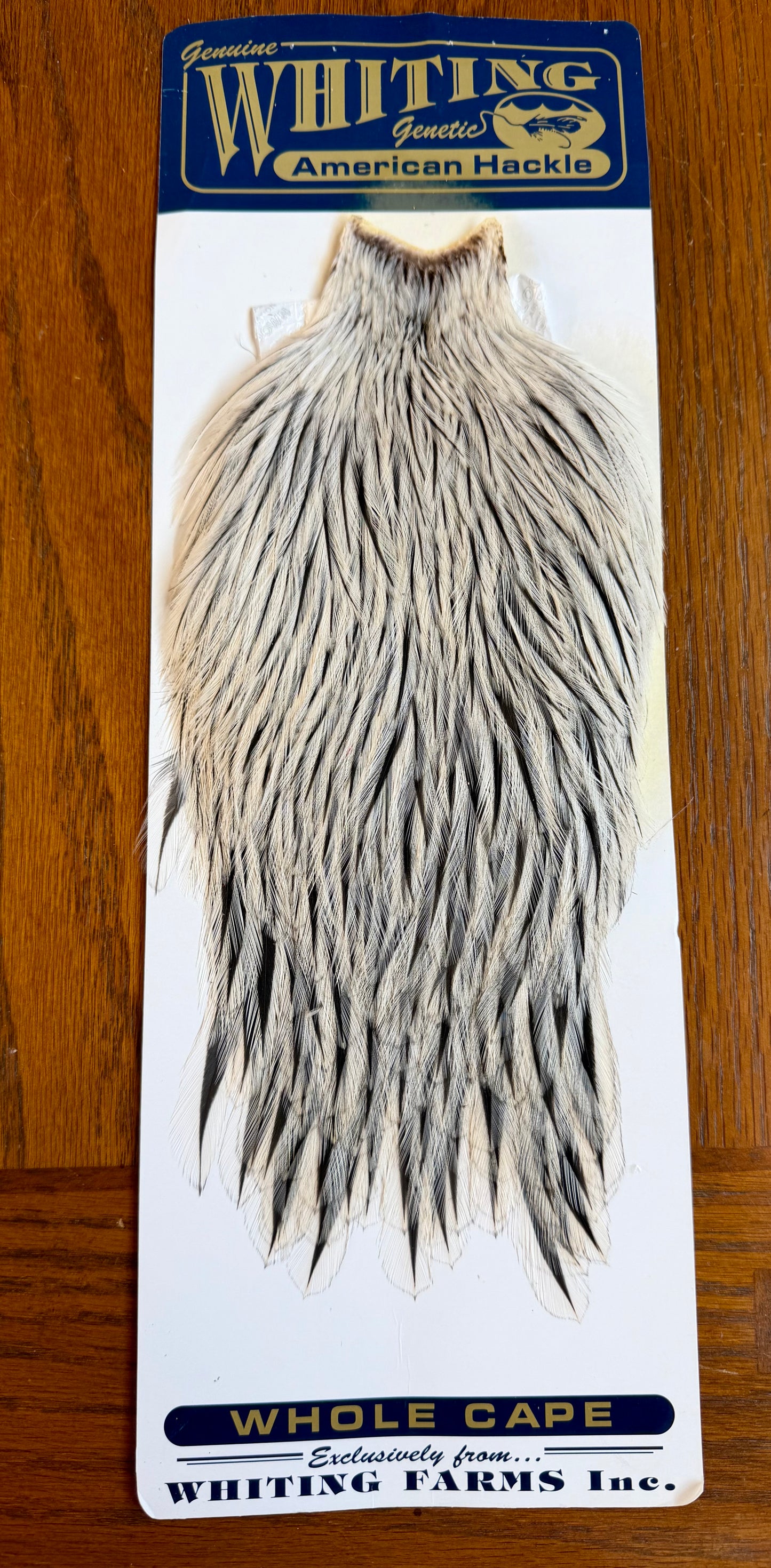 Whiting American Hackle Retail Grade Cape Silver Badger 567-SH-E-L