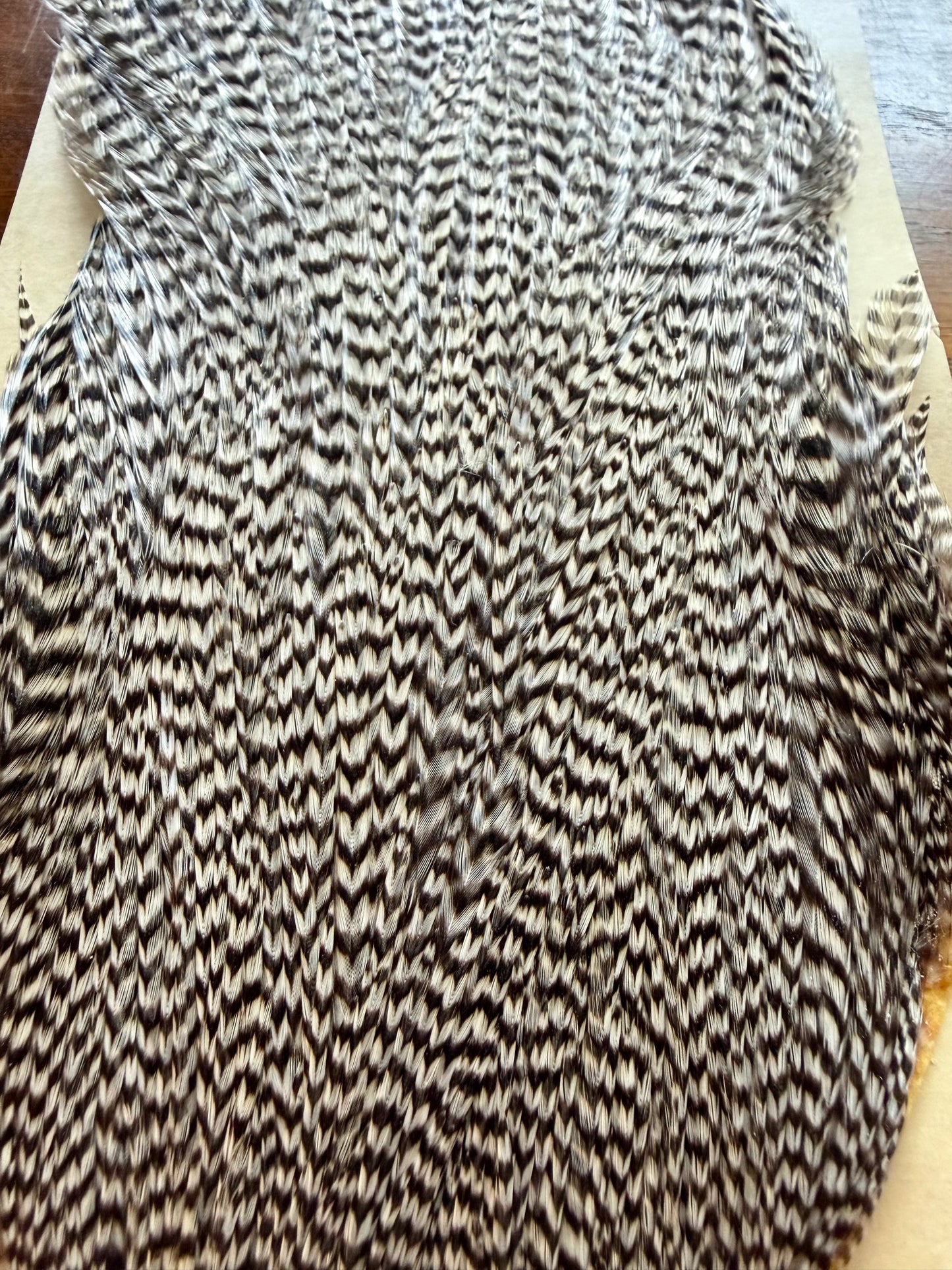 Metz Grade #2 Cape Grizzly 530-SH-E-L