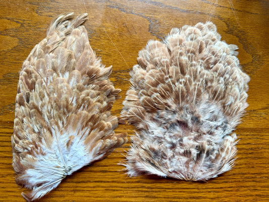 Colorado Angler Supply Hen Saddle Ginger (Set of 2) 549-SH-E-L