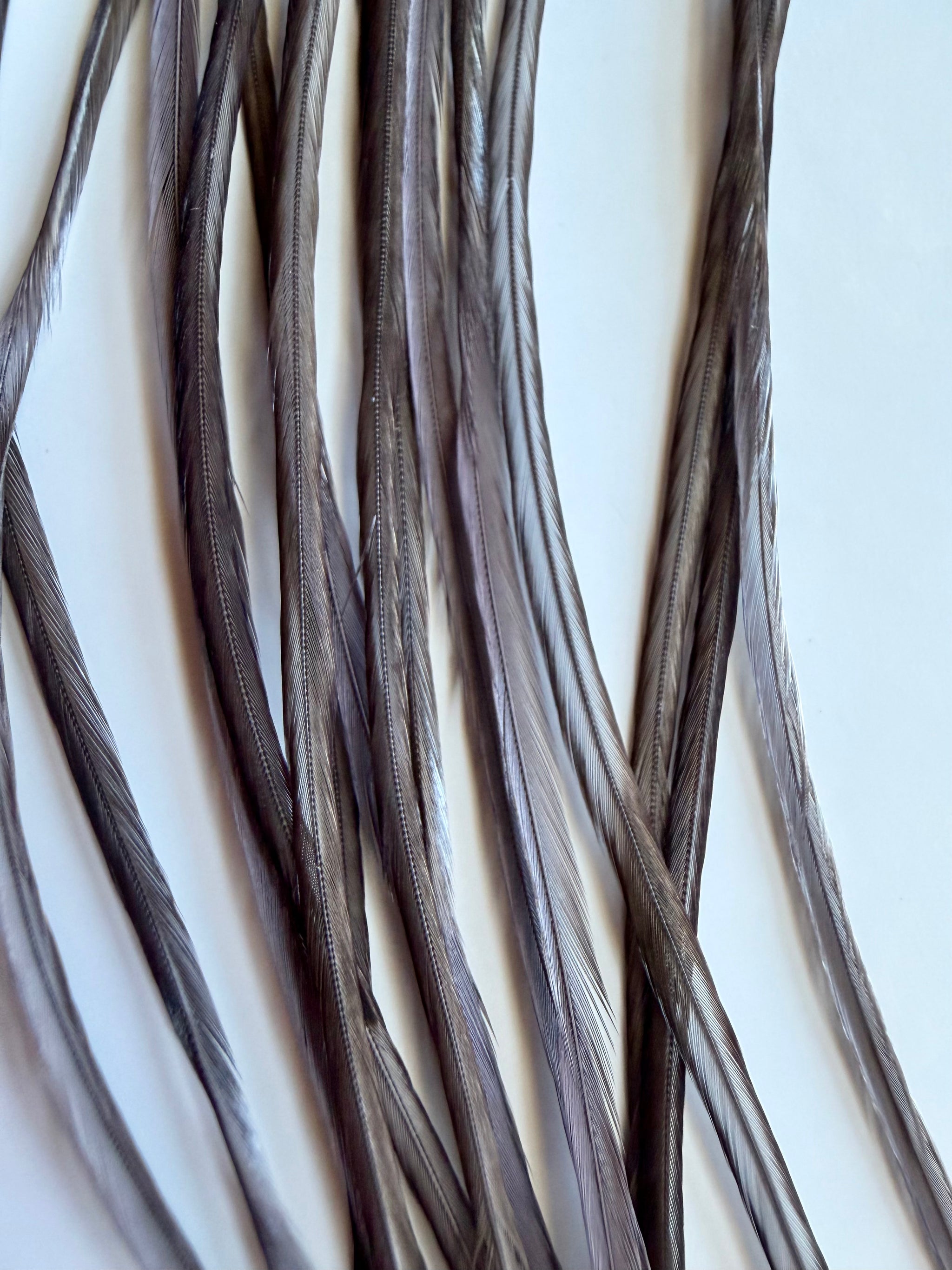 Whiting Dry Fly Hackle 100’s Size 16 Dark Dyed Dun 818-SH-E-L