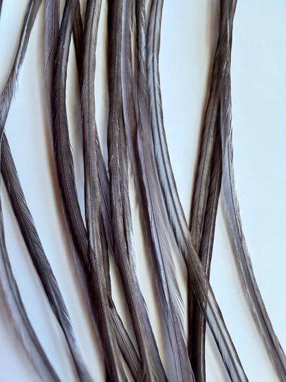 Whiting Dry Fly Hackle 100’s Size 16 Dark Dyed Dun 818-SH-E-L