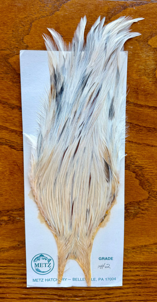 Metz Grade # 2 Cape White Splashed 550-SH-E-L