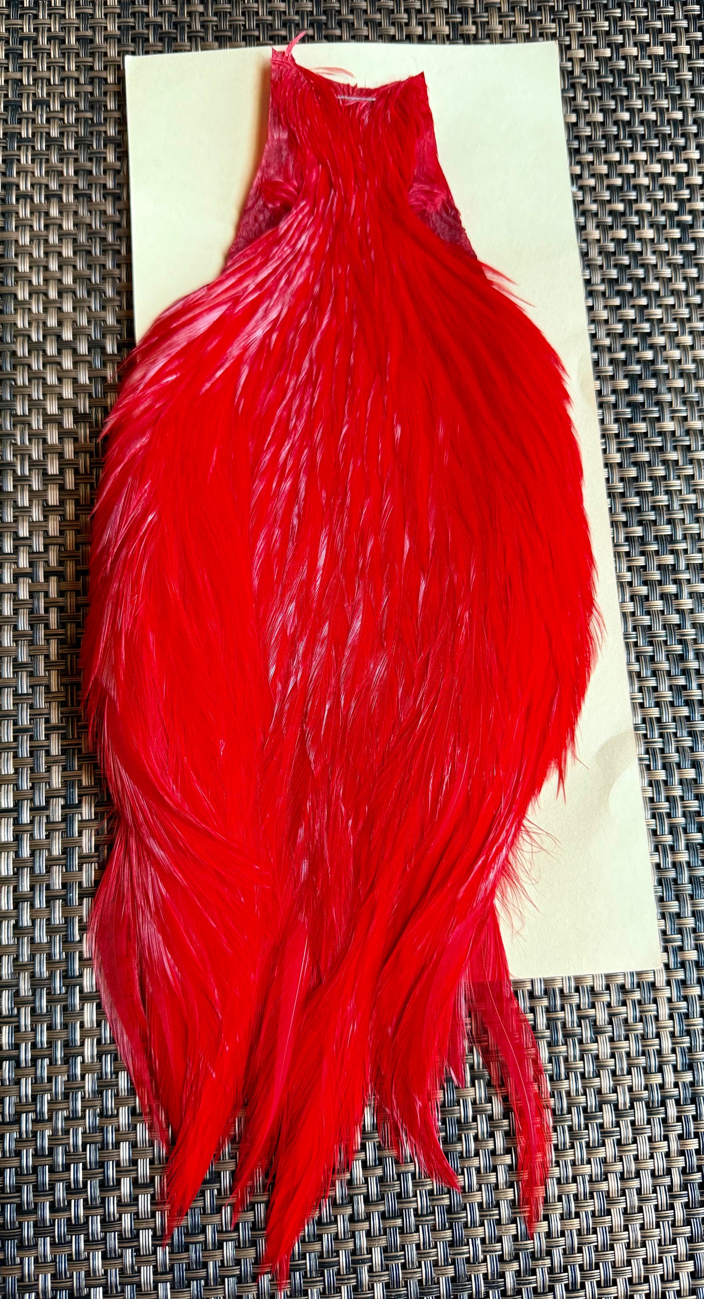 Rooster Cape White Dyed Red 588-SH-E-L