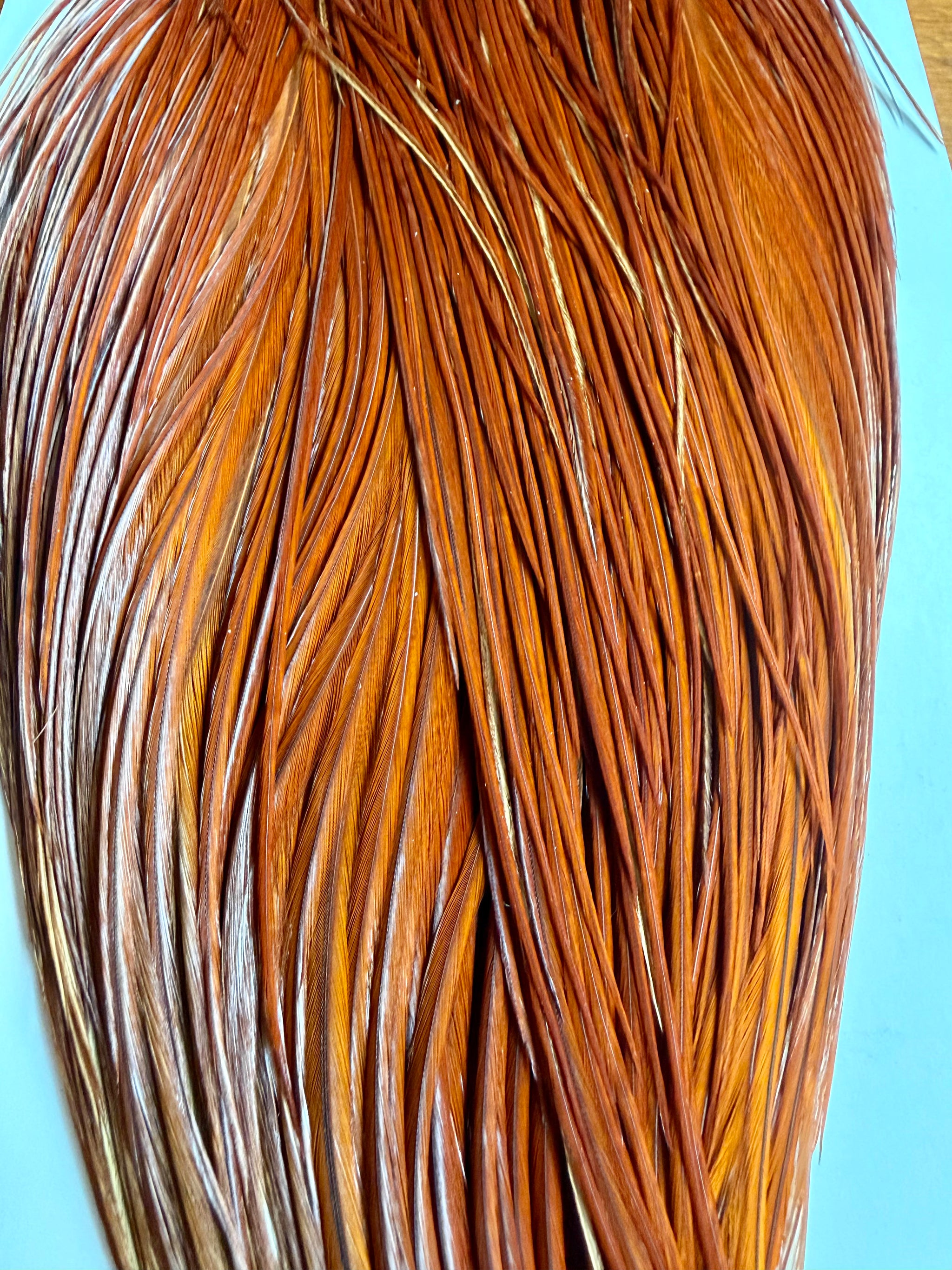 Whiting Farms Silver Grade Rooster Cape Brown 802-SH-E-L