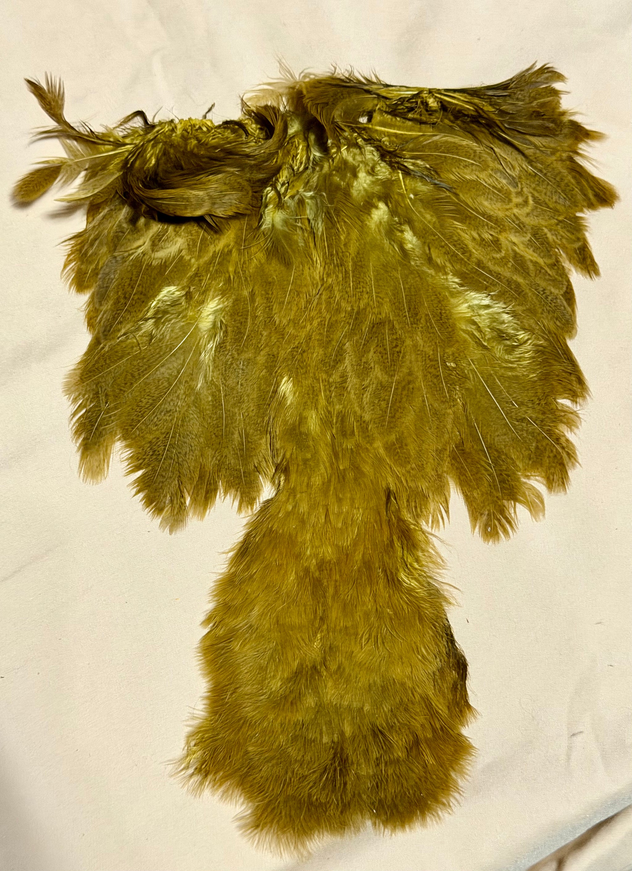Whiting Farms Soft Hackle Brahma Hen Chickabou Pelt Mottled Gray dyed Golden Olive Speckled 214-SH-E-L