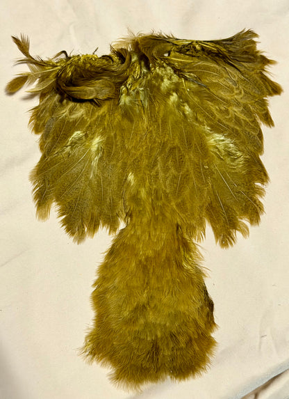 Whiting Farms Soft Hackle Brahma Hen Chickabou Pelt Mottled Gray dyed Golden Olive Speckled 214-SH-E-L