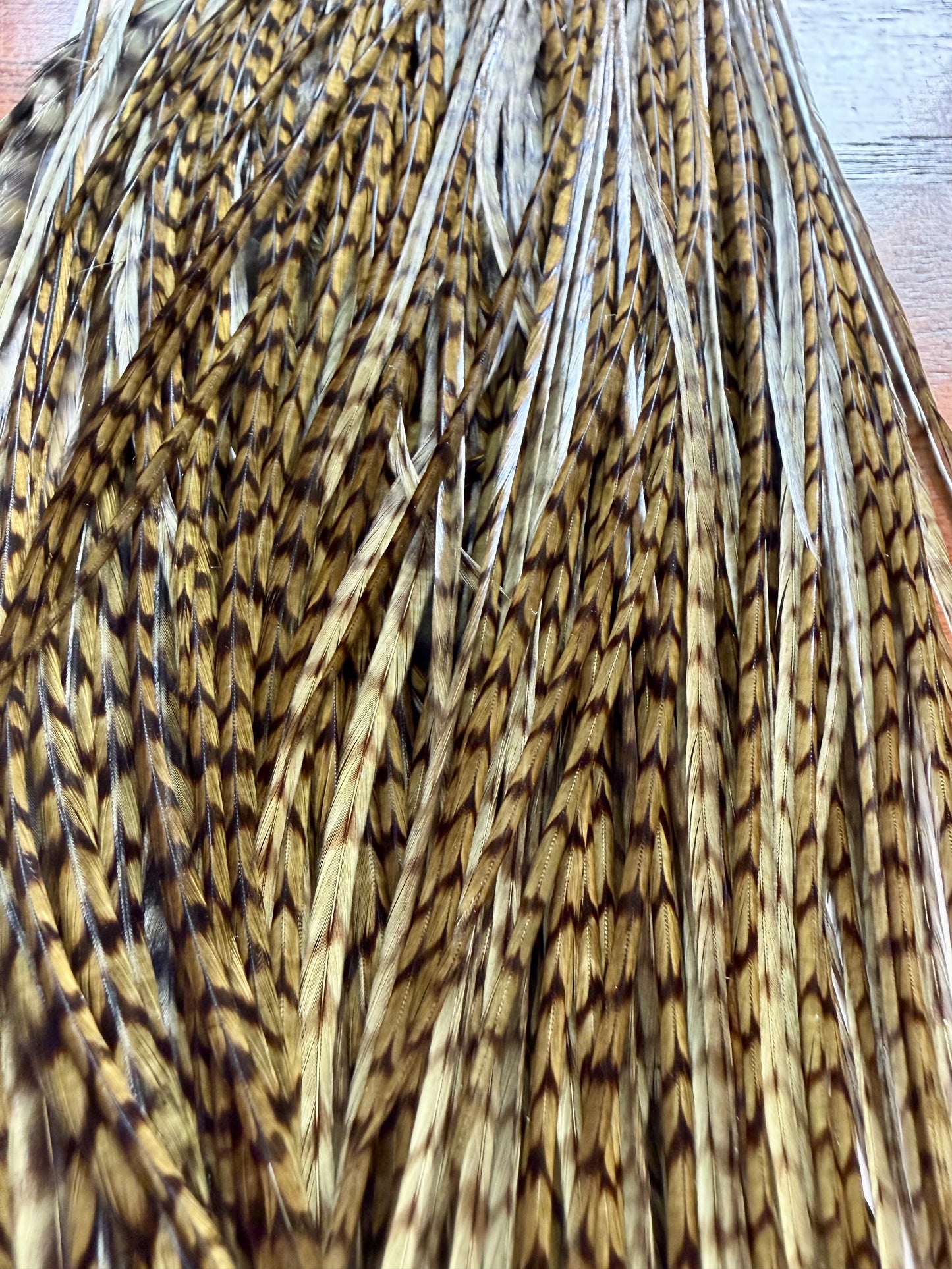 Whiting Farms Gold Grade Half Saddle Grizzly dyed Olive 359-SH-E-L